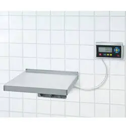 ADE Wandwaage mit Eichzulassung, Serie ADE Terrex-L-60 + STAN07, 60 kg, Höchstlast: 60 kg