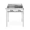 Hendi Grillsystem Green Fire mit 2 Brennern, Profi Line, Emaillierte Grillplatte und Grillrost aus Gusseisen GN 1/1, 11,6kW, 740x615x(H)825mm