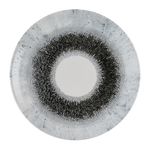 Churchill Studio Prints Fusion Black Evolve Coupe-Teller, 260 mm, (12 Stück)