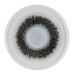 Churchill Studio Prints Fusion Platten mit schwarzen Wänden, 260 mm, (6 Stück)