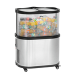 Bartscher Impulskühler 110L-2F