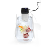iVide Plus Sous Vide Stab