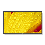 NEC MultiSync® ME651 LCD 65" Message Essential Large Format Display