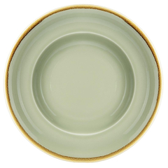 Olympia Kiln Pastateller 250mm moosgrün 4 Stück