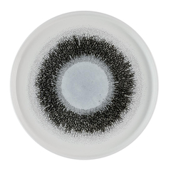 Churchill Studio Prints Fusion Platten mit schwarzen Wänden, 260 mm, (6 Stück)