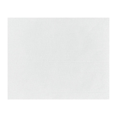 Fiesta kompostierbare Burgerverpackungen Weiß 250x200 (200 Stück)