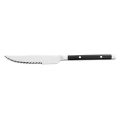 Was Germany Steakmesser Set BISTRO TREND, 21 cm, mit Kunststoffgriff, Set á 12 Stück, Chromstahl 13/0