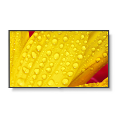 NEC MultiSync® ME651 LCD 65" Message Essential Large Format Display