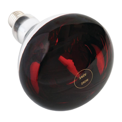 Wärmelampe rot 250W