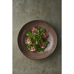 Churchill Stonecast Raw Coupe Schalen Braun 184mm (12 Stück)