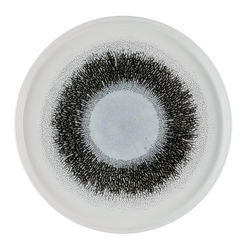 Churchill Studio Prints Fusion Platten mit schwarzen Wänden, 260 mm, (6 Stück)