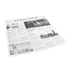 Sier Dispsoabels fettabweisendes Papier Zeitungspapier 300 x 300mm (Box 300)