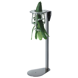 Neumärker Schäler für Gurken 