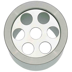 Neumärker Einsatz Spargel für Spaghetti-Eis-Presse