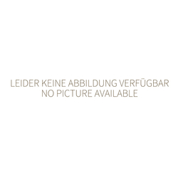 Neumärker Ersatz-Aktivkohlefilter für Mobile Abzugshaube