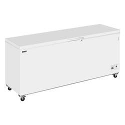Tefcold Eiscreme-Gefriertruhen CF700 SL, Weiß, EEK D