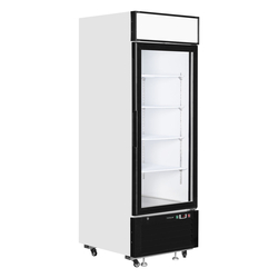 Tefcold Displaygefrierschrank LGF2500, Weiß, EEK C