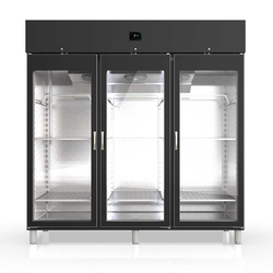 Vaiotec Topline Gastro-Reifeschrank Dry-Aging Schwarz, 2197 Liter, 450 kg Fleisch, 2055 × 850 mm