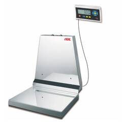 ADE Wandwaage mit Eichzulassung, TerrexN-300 + STAN07, 300 kg, Höchstlast: 300 kg