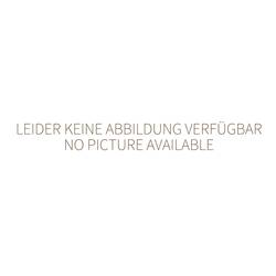 Neumärker Reinigungsmittel Fit Profi für Heiße Spitze