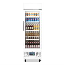 Polar Serie G Displaykühlung 218Ltr