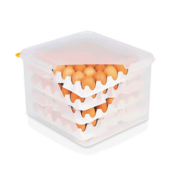 WAS Germany HACCP Eierbox Polystyrol 2/3 