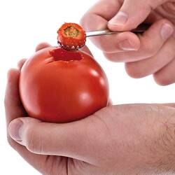 Tomatenentstieler aus Edelstahl