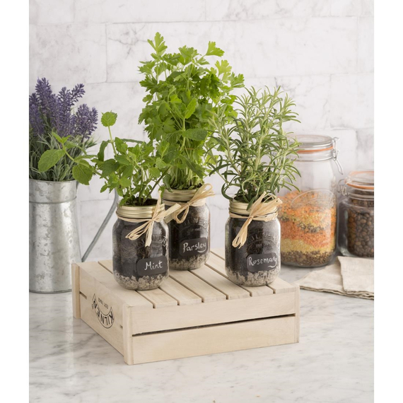 Kilner Weckglas mit Schraubverschluss 500ml, Bild 2