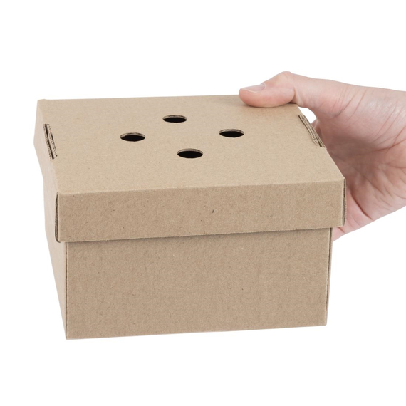 Fiesta kompostierbare Aufklapp-Burgerboxen (100 Stück), Bild 5