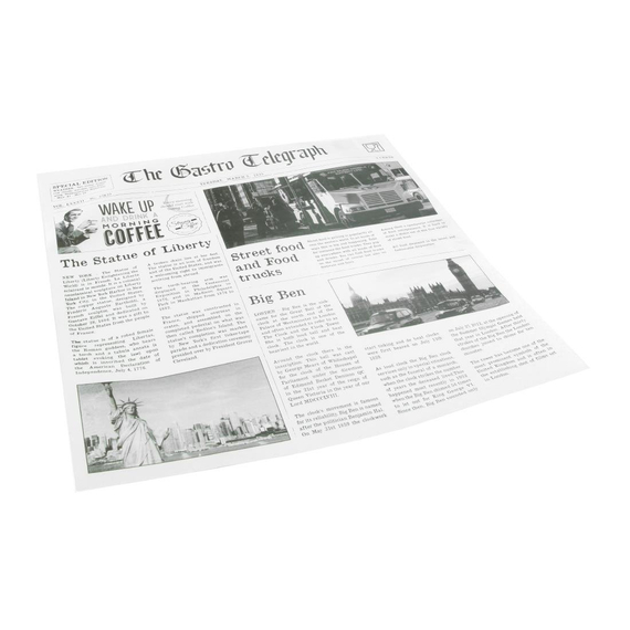 Sier Dispsoabels fettabweisendes Papier Zeitungspapier 300 x 300mm (Box 300)