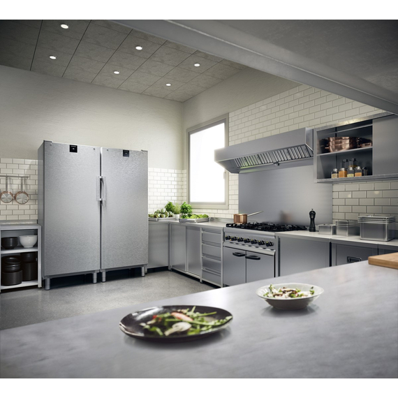 Liebherr FFFvg 6501 Perfection Gefrierschrank mit NoFrost, Farbe: Weiß, Perfection Gefrierschränke mit NoFrost: FFFvg 6501, Bild 6