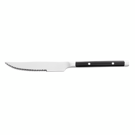 Was Germany Steakmesser Set BISTRO TREND, 21 cm, mit Kunststoffgriff, Set á 12 Stück, Chromstahl 13/0