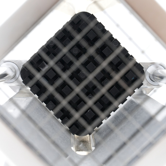 Maxima Professioneller Pommes-Schneider – Horizontal – Manuell, Bild 9