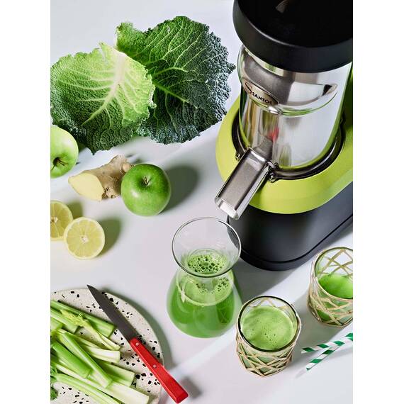 Santos Cold Press Slow Juicer # 65, Bild 7
