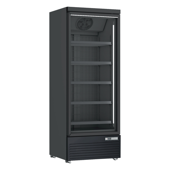 Tefcold Tiefkühlschränke mit Glastüren DF560BC, Schwarz, EEK C
