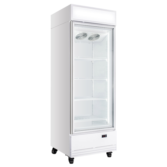 Vaiotec Topline Gastro-Getränkekühlschrank 1 Tür, 570 Liter XL, mit Leuchtaufsatz weiß, 750 × 742 mm, Bild 4