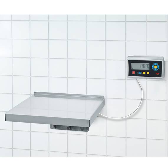 ADE Wandwaage mit Eichzulassung, Serie ADE Terrex-L-60 + STAN07, 60 kg, Höchstlast: 60 kg