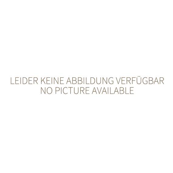 Neumärker Reinigungsmittel Fit Profi für Heiße Spitze