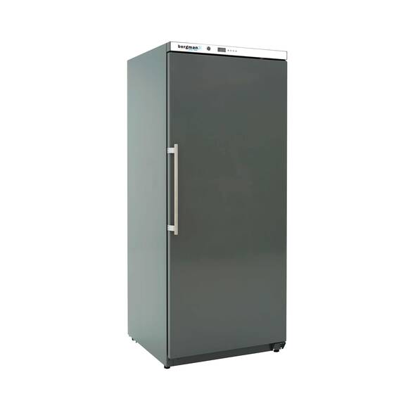 Bergman Basic-Line Lagerkühlschrank ABS - 305 l