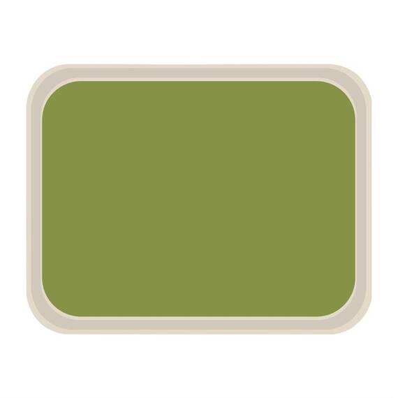 Roltex America Polyester Serviertablett grün 46 x 36cm
