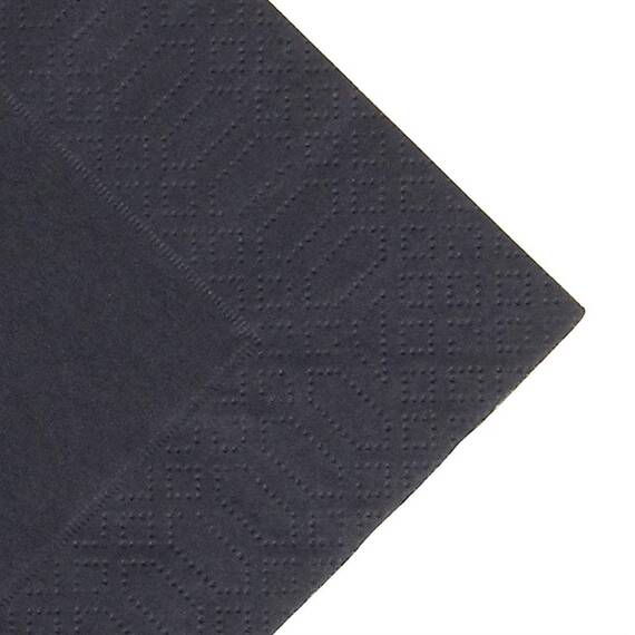 Duni Kompostierbare Lunchservietten schwarz 33cm
