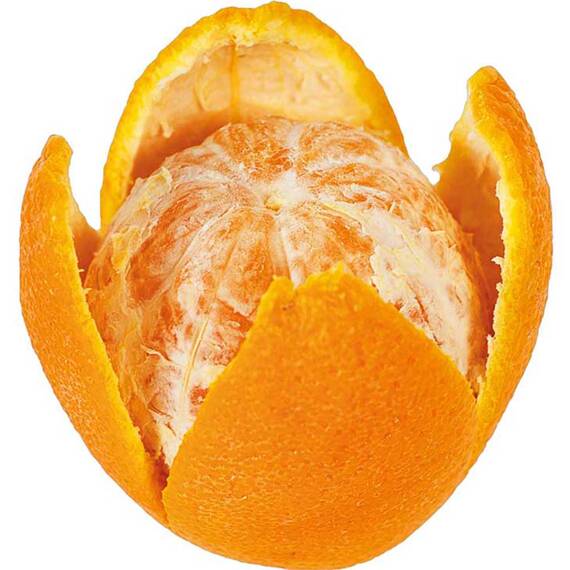 Triangle Orangenschäler