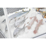 Polar G-Serie Fisch Display servieren ueber Theke Kuehlschrank 255Ltr, Bild 2