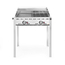 Hendi Grillsystem Green Fire mit 2 Brennern, Profi Line, Emaillierte Grillplatte und Grillrost aus Gusseisen GN 1/1, 11,6kW, 740x615x(H)825mm
