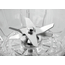 Bartscher Blender PRO TOUCH 2,5L, Bild 6