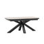 Barths Torino - Ausziehbarer Tisch 180/220x100 cm, Anthrazit