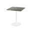 Feros Urban - Terrassentisch weißes Gestell + Galaxy-Marmor HPL-Platte 70x70 cm, Weiß + Galaxy Marmor