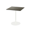 Feros Urban - Terrassentisch weißes Gestell + Midnight-Marmor HPL-Platte 70x70 cm, Weiß + Midnight Marmor
