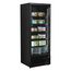 Tefcold Glastürgefrierschrank Atom Maxi F1DBB, Schwarz RAL9005, EEK C, Bild 2
