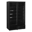 Tefcold Glastürgefrierschrank Atom Maxi F2DBB, Schwarz RAL9005, EEK D